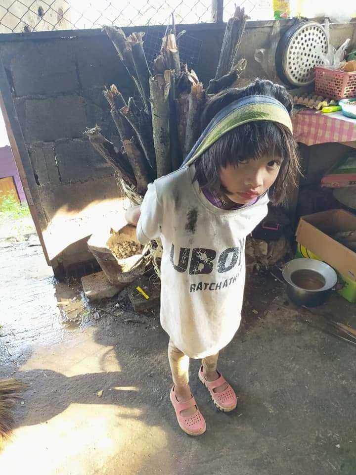 Gathering firewood