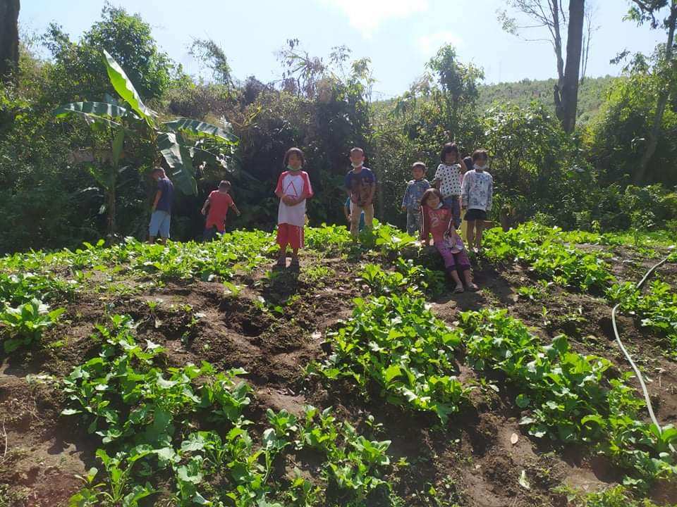 Wolverines-sponsored school garden